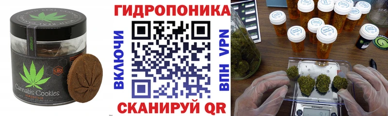 как найти наркотики  Аткарск  Canna-Cookies марихуана 