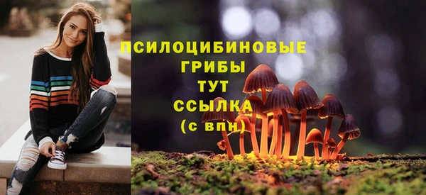ПСИЛОЦИБИНОВЫЕ ГРИБЫ Приозерск