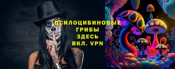Альфа ПВП Алзамай